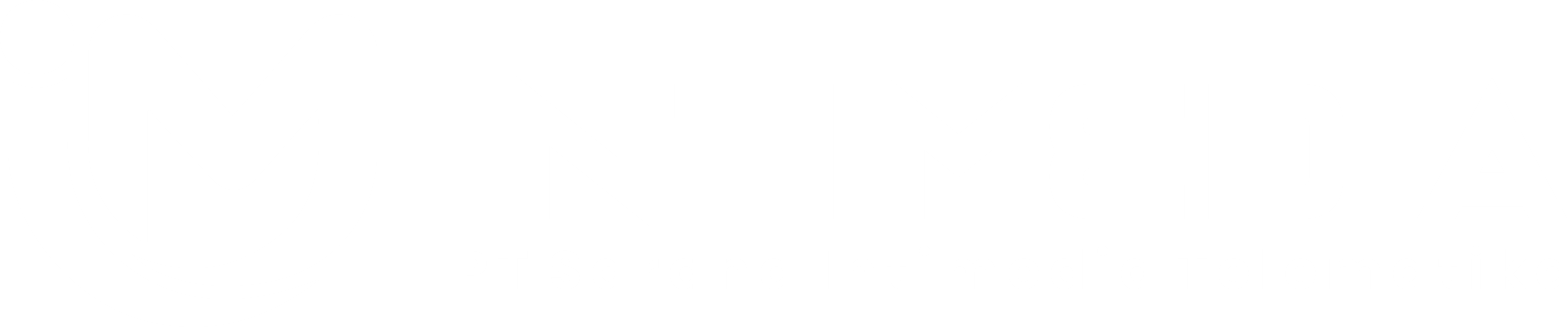 Intimedia Logo